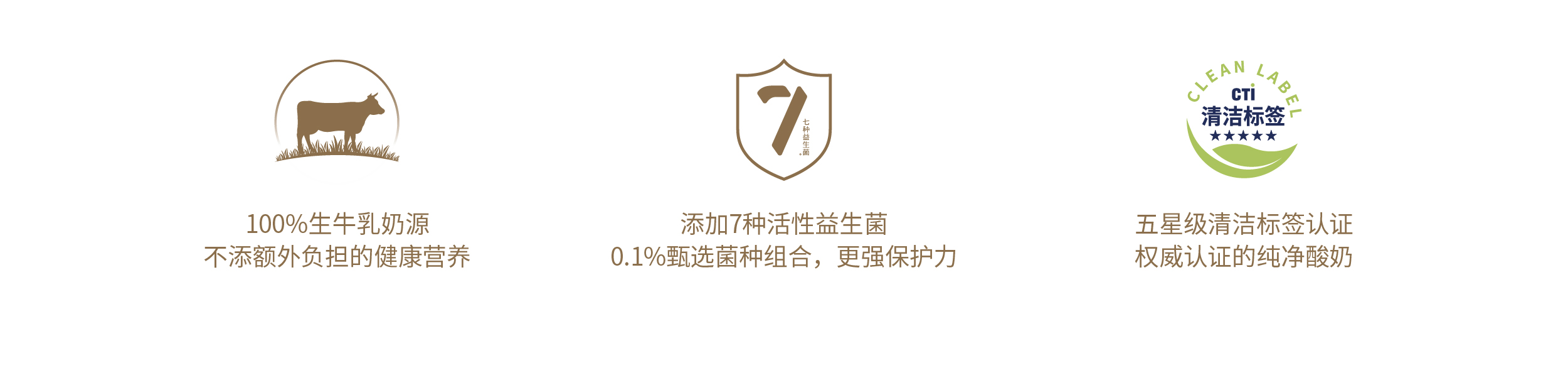 07icon2.jpg