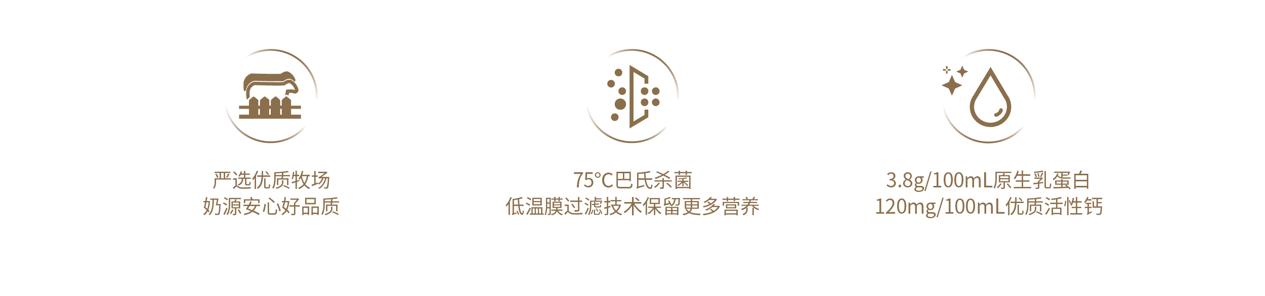 普通鮮奶icon.jpg